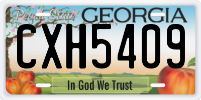 GA license plate CXH5409
