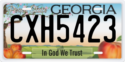 GA license plate CXH5423