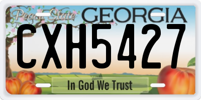 GA license plate CXH5427