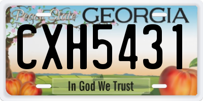 GA license plate CXH5431