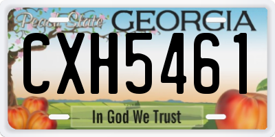 GA license plate CXH5461