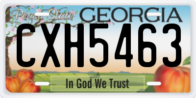 GA license plate CXH5463