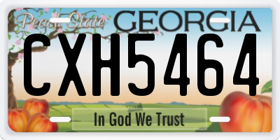 GA license plate CXH5464