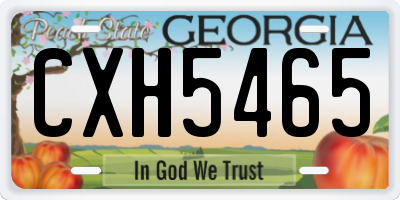 GA license plate CXH5465