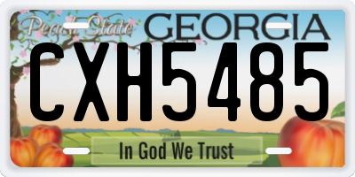 GA license plate CXH5485