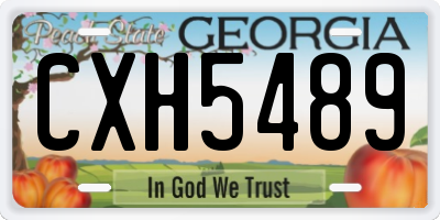 GA license plate CXH5489