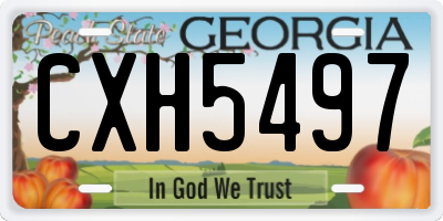 GA license plate CXH5497