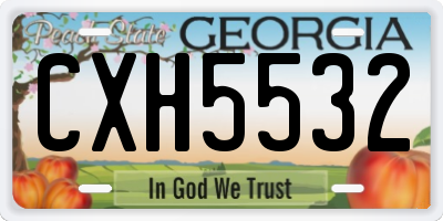 GA license plate CXH5532