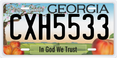 GA license plate CXH5533