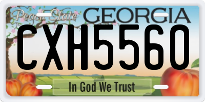 GA license plate CXH5560
