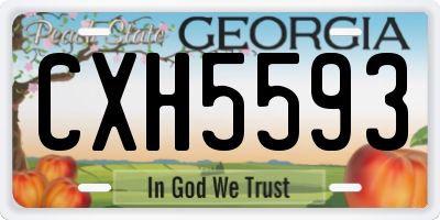 GA license plate CXH5593