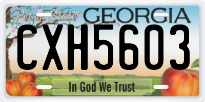 GA license plate CXH5603