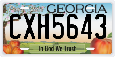 GA license plate CXH5643