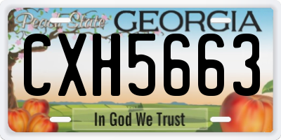GA license plate CXH5663