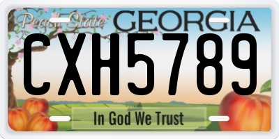 GA license plate CXH5789