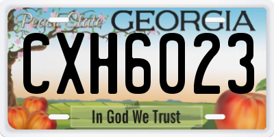 GA license plate CXH6023