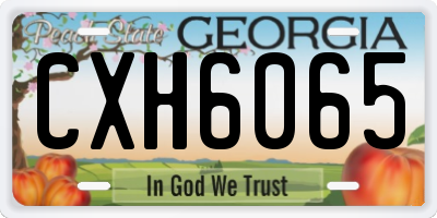 GA license plate CXH6065