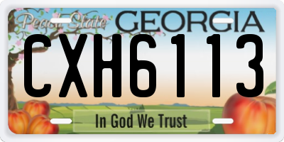 GA license plate CXH6113