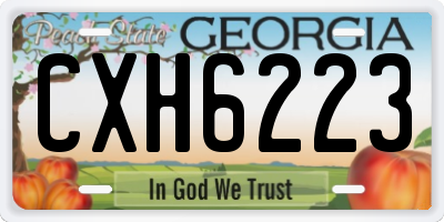 GA license plate CXH6223