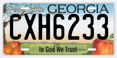GA license plate CXH6233