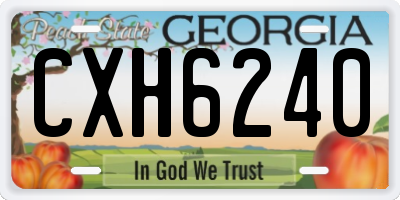 GA license plate CXH6240