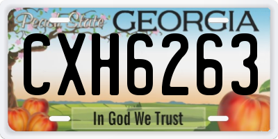 GA license plate CXH6263