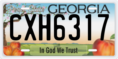 GA license plate CXH6317