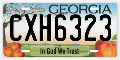 GA license plate CXH6323