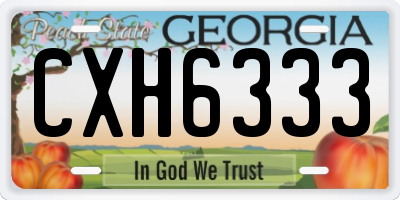 GA license plate CXH6333