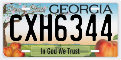 GA license plate CXH6344