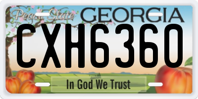 GA license plate CXH6360