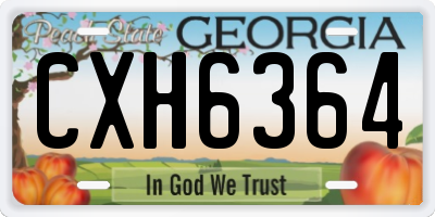 GA license plate CXH6364