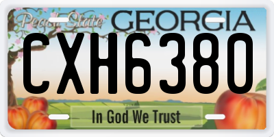GA license plate CXH6380