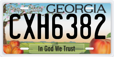 GA license plate CXH6382