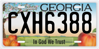 GA license plate CXH6388