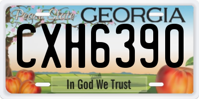 GA license plate CXH6390