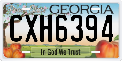 GA license plate CXH6394