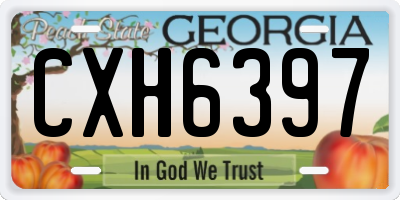GA license plate CXH6397