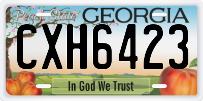 GA license plate CXH6423