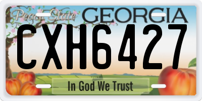 GA license plate CXH6427