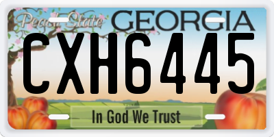 GA license plate CXH6445