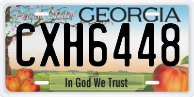 GA license plate CXH6448