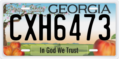 GA license plate CXH6473