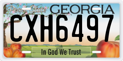 GA license plate CXH6497