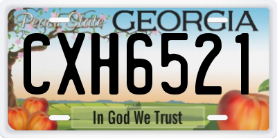 GA license plate CXH6521