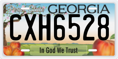 GA license plate CXH6528