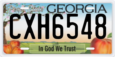 GA license plate CXH6548