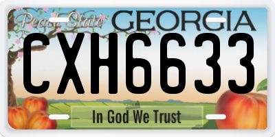 GA license plate CXH6633