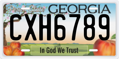 GA license plate CXH6789