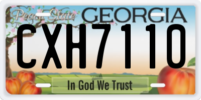 GA license plate CXH7110